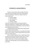 Referāts 'Interneta izmantošana', 1.