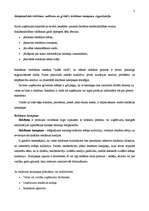 Konspekts 'Starptautiskās reklāmas vadīšana un globālo reklāmas kampaņu organizācija', 2.