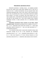 Konspekts 'Pussabrukšanas periods. Radioaktīvās sabrukšanas likums', 4.