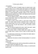 Referāts 'Noliktavu saimniecības organizēšana, noliktavu riski', 12.