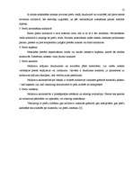 Referāts 'Noliktavu saimniecības organizēšana, noliktavu riski', 13.