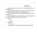 Referāts 'Noliktavu saimniecības organizēšana, noliktavu riski', 24.