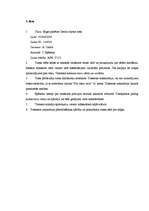 Prakses atskaite 'Ievadprakse tiesā', 5.