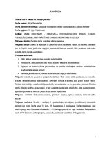 Referāts 'Skolēna darbs vasarā kā vērtīga pieredze', 2.