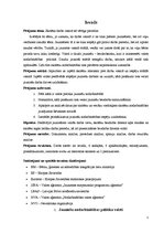 Referāts 'Skolēna darbs vasarā kā vērtīga pieredze', 5.