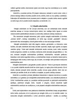 Referāts 'Skolēna darbs vasarā kā vērtīga pieredze', 8.