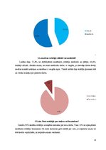 Referāts 'Skolēna darbs vasarā kā vērtīga pieredze', 19.