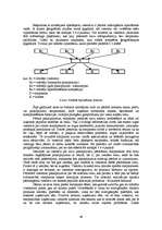 Diplomdarbs 'Viesnīcu un tūrisma padziļināta analīze', 44.