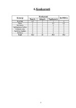 Biznesa plāns 'SIA "Raven"', 9.