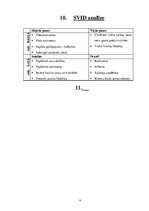 Biznesa plāns 'SIA "Raven"', 14.