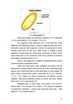 Diplomdarbs 'Kvalitātes kontrole kēksu sauso maisījumu ražošanā', 15.