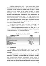 Diplomdarbs 'Kvalitātes kontrole kēksu sauso maisījumu ražošanā', 19.