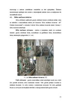 Diplomdarbs 'Kvalitātes kontrole kēksu sauso maisījumu ražošanā', 45.