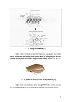 Diplomdarbs 'Kvalitātes kontrole kēksu sauso maisījumu ražošanā', 63.