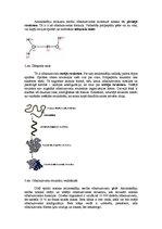 Konspekts 'Olbaltumvielas', 3.