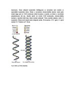 Konspekts 'Olbaltumvielas', 7.