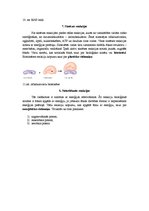 Konspekts 'Olbaltumvielas', 9.