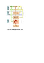 Konspekts 'Olbaltumvielas', 10.