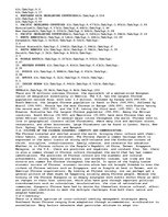 Eseja 'Asian Diaspora by Rumaisa', 4.