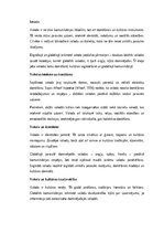 Eseja 'Valoda kā domāšanas un kultūras veidotāja: starp tradicionālo un globālo', 1.