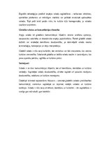 Eseja 'Valoda kā domāšanas un kultūras veidotāja: starp tradicionālo un globālo', 2.