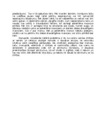 Eseja 'Siltumnīcas efekts', 2.