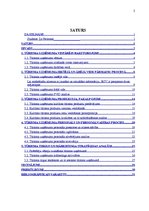 Prakses atskaite 'Tūrisma uzņēmums', 2.