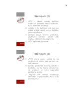 Prakses atskaite 'Tūrisma uzņēmums', 39.