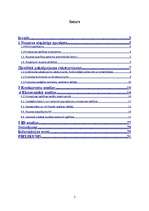 Referāts 'Pirmsskolas izglītības nozares analīze', 2.