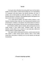 Referāts 'Pirmsskolas izglītības nozares analīze', 3.