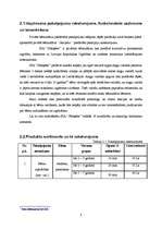 Referāts 'Pirmsskolas izglītības nozares analīze', 8.