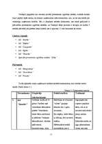 Referāts 'Pirmsskolas izglītības nozares analīze', 11.