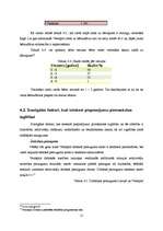 Referāts 'Pirmsskolas izglītības nozares analīze', 17.