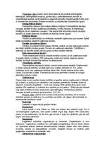 Prakses atskaite 'Mazo uzņēmumu ekonomika un organizācija', 8.