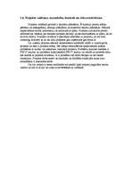 Prakses atskaite 'Mazo uzņēmumu ekonomika un organizācija', 13.