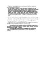 Prakses atskaite 'Mazo uzņēmumu ekonomika un organizācija', 17.