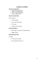 Paraugs 'Sporta anamnēze', 3.