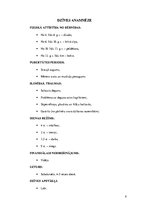 Paraugs 'Sporta anamnēze', 4.