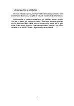 Referāts 'Zāļu cenu veidošanas stratēģija', 8.