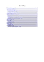 Biznesa plāns 'Biznesa plāns. Auto noma', 2.