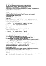 Konspekts 'Magnētisms', 1.