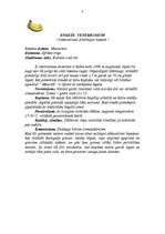 Referāts 'Eksotiskie augļi', 3.