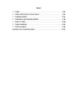 Referāts 'Vulkāni', 2.