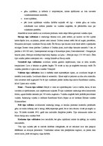 Referāts 'Vulkāni', 7.