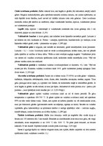 Referāts 'Vulkāni', 9.