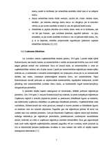 Referāts 'Uzņēmējdarbības uzsākšanas iespējas Latvijā', 5.