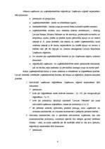 Referāts 'Uzņēmējdarbības uzsākšanas iespējas Latvijā', 6.