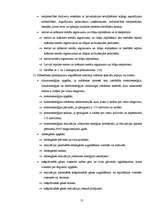 Referāts 'Uzņēmējdarbības uzsākšanas iespējas Latvijā', 13.