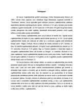 Referāts 'Uzņēmējdarbības uzsākšanas iespējas Latvijā', 18.