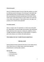 Referāts 'Intervija', 4.